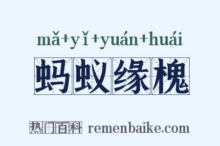 蚂蚁缘槐是什么意思的图片
